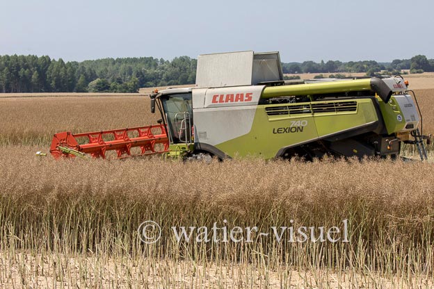 1191D620