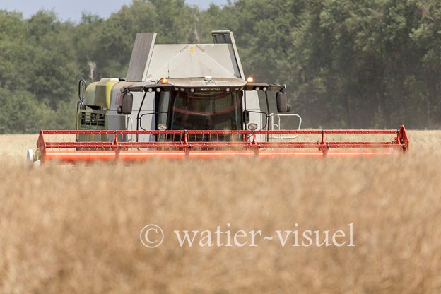 1191D622