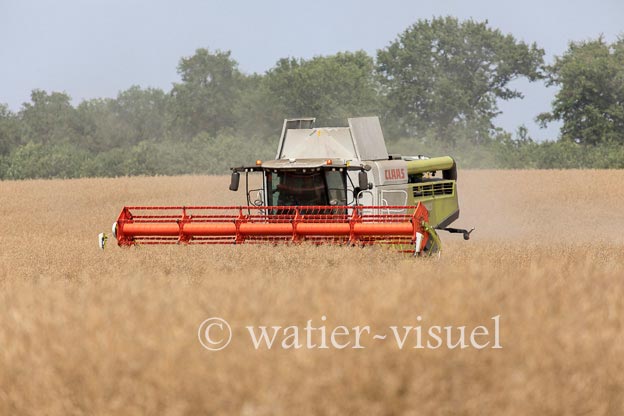 1191D630
