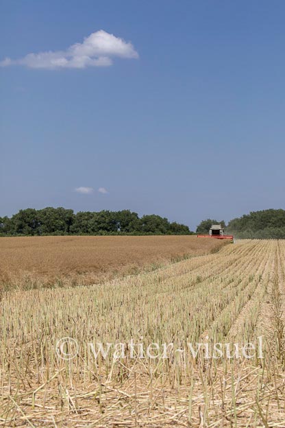 1191D640