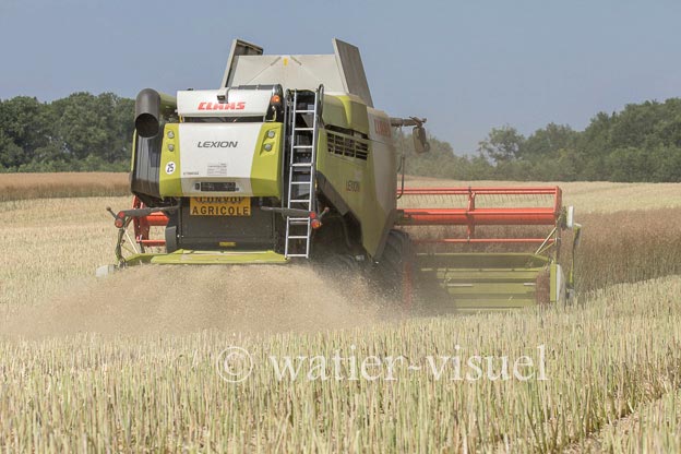 1191D650