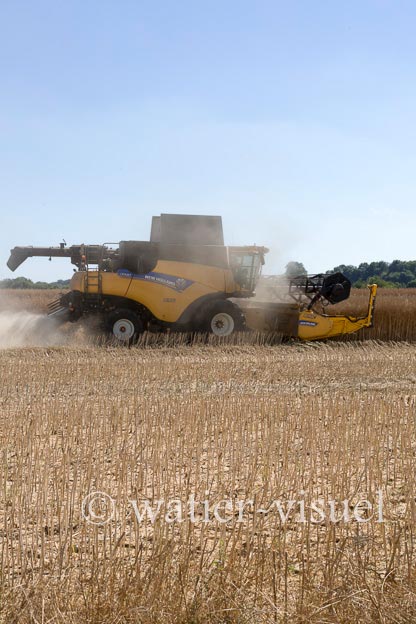 1192D033