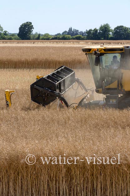 1192D100