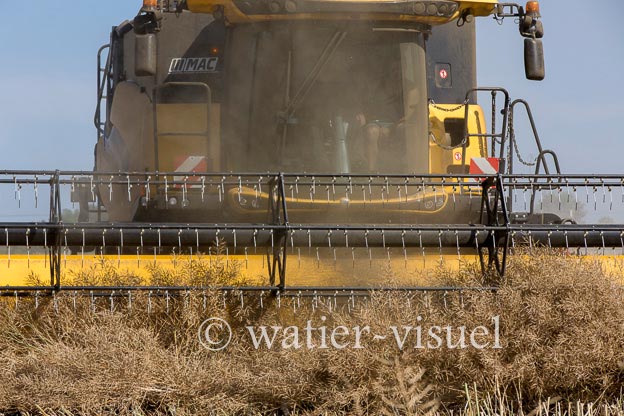1192D111
