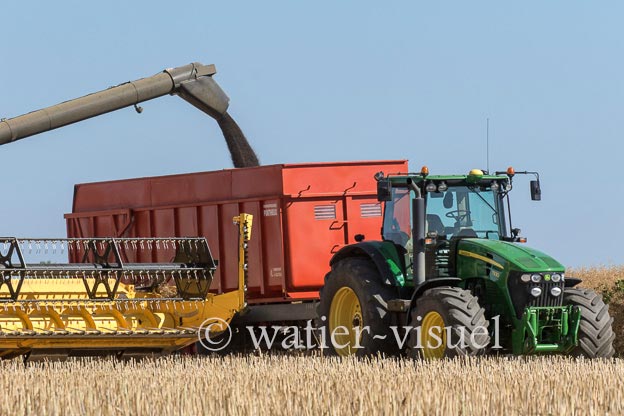1192D202