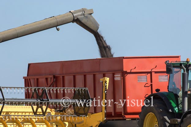 1192D205