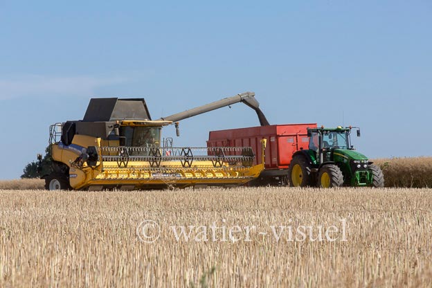 1192D206