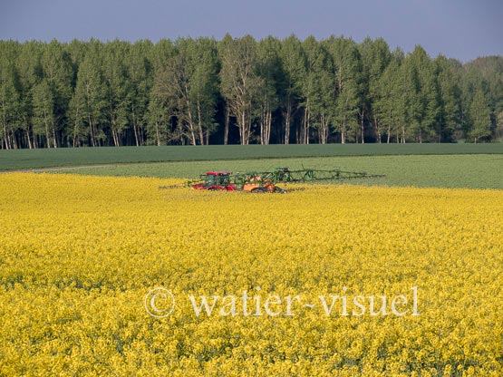 1194D980