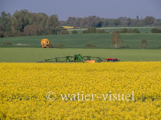 1194D987