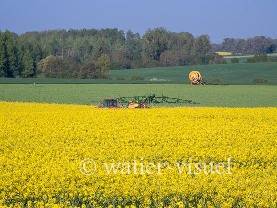 1195D014