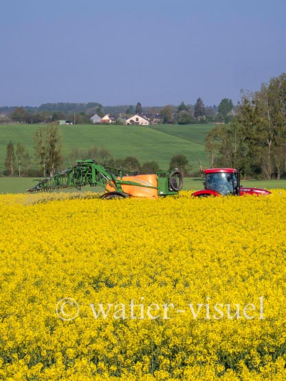 1195D023