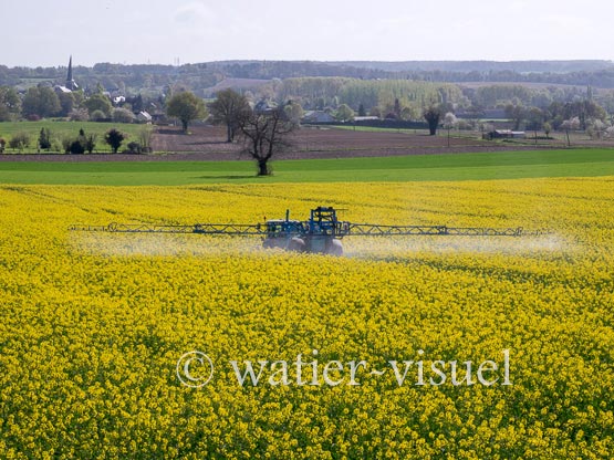 1195D250