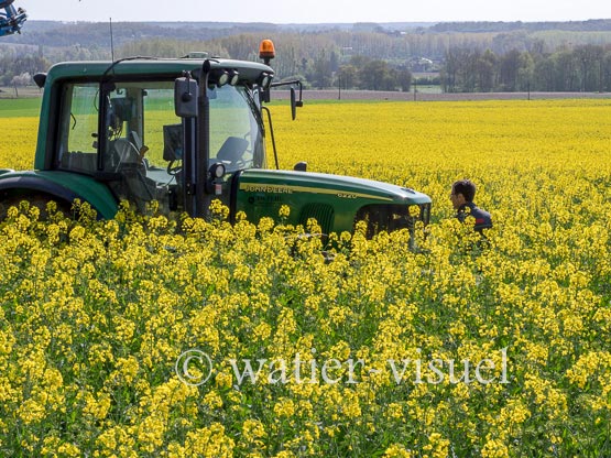 1195D274