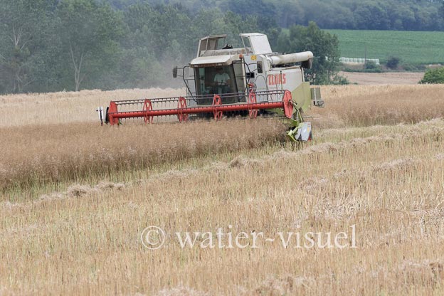 1195D900