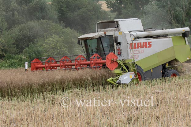1195D907