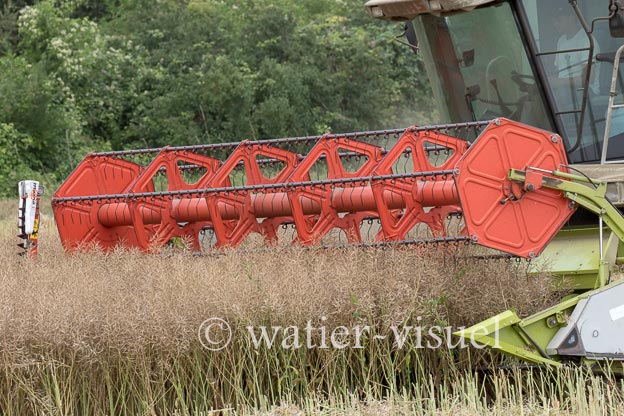 1195D910