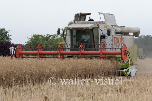1195D920