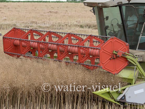 1195D925
