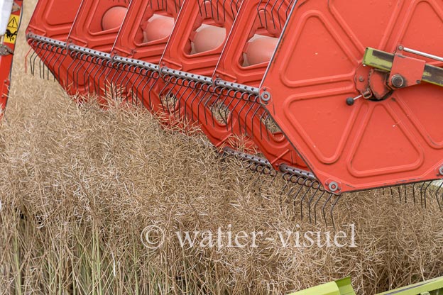 1195D932