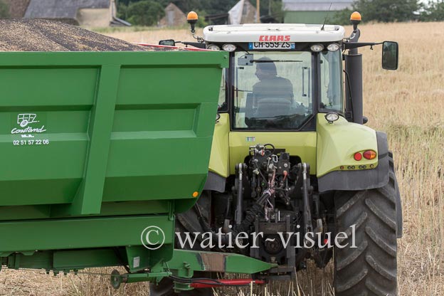 1195D945