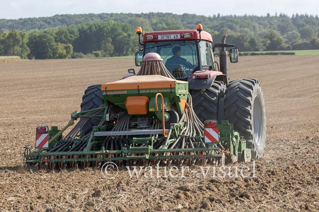 1201D925