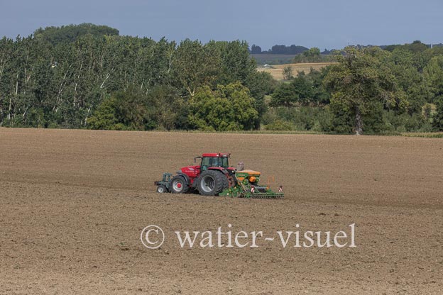 1201D964