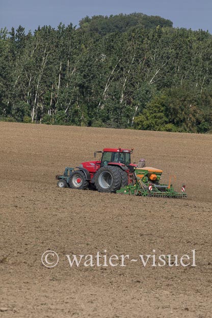 1201D965
