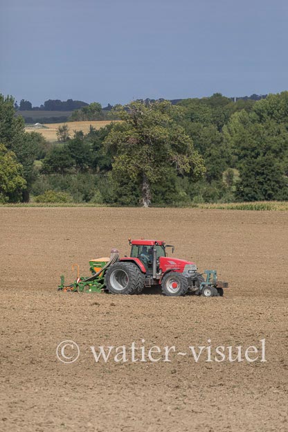 1201D975