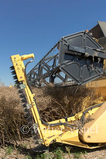 1255D762