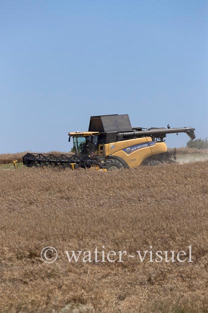 1255D800