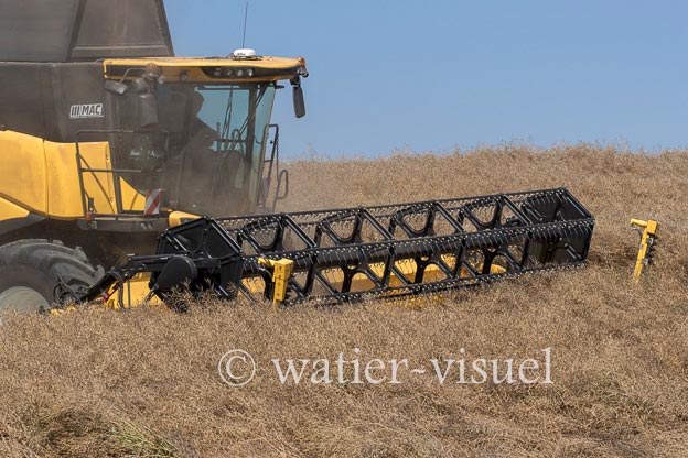 1255D855