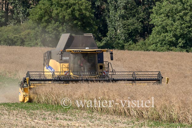 1255D921