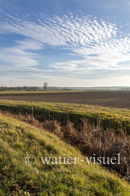 1174D439