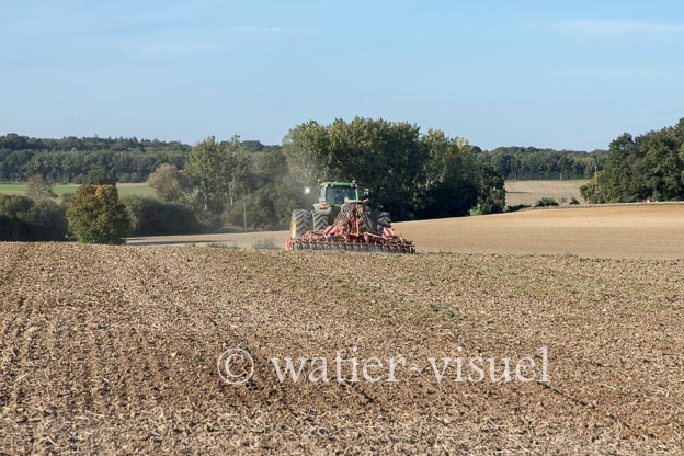1236D363