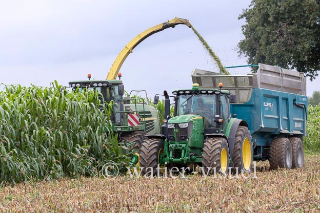 1241D028