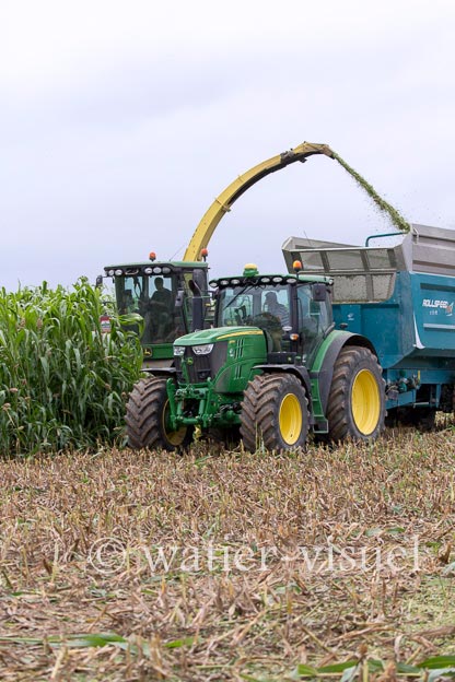 1241D030