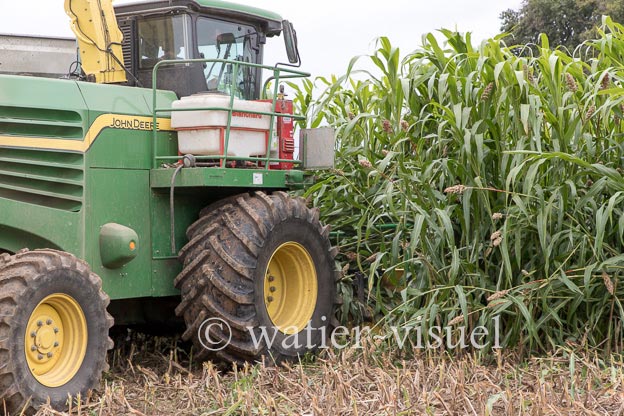 1241D047