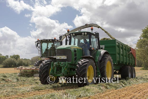 1247D197