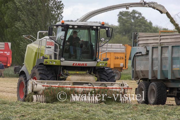 1247D229