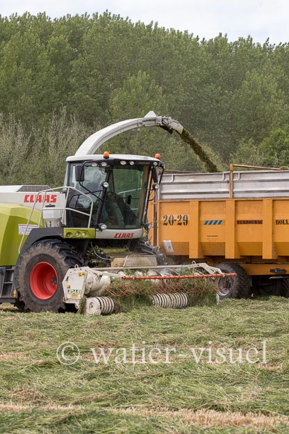 1247D243