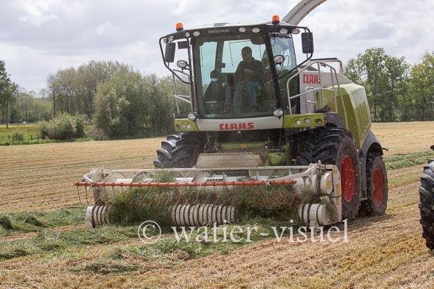 1247D250