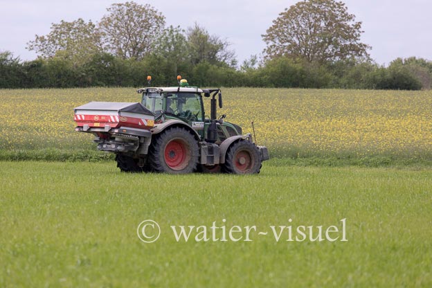 1251D013