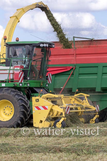 1259D246