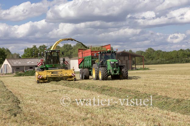 1259D250