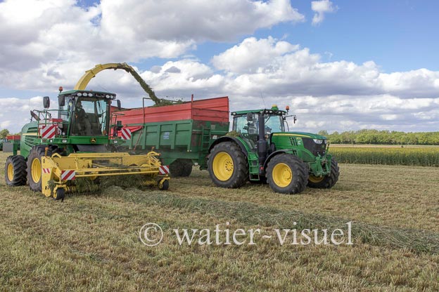1259D260