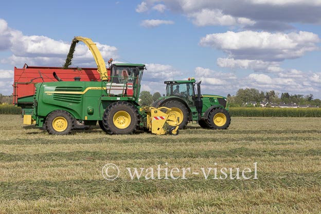 1259D269