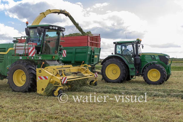1259D272