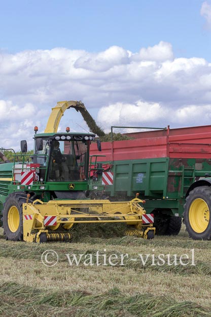 1259D298