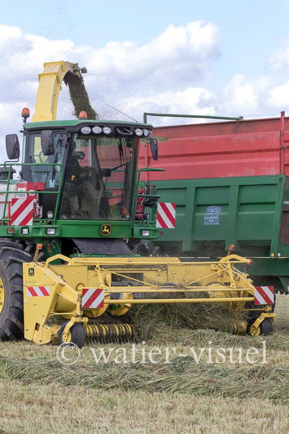 1259D299