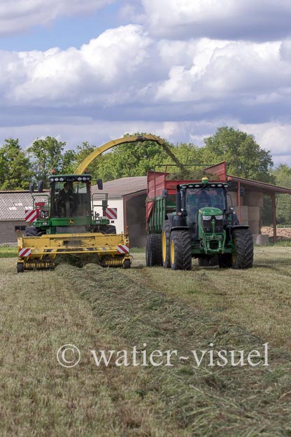 1259D300